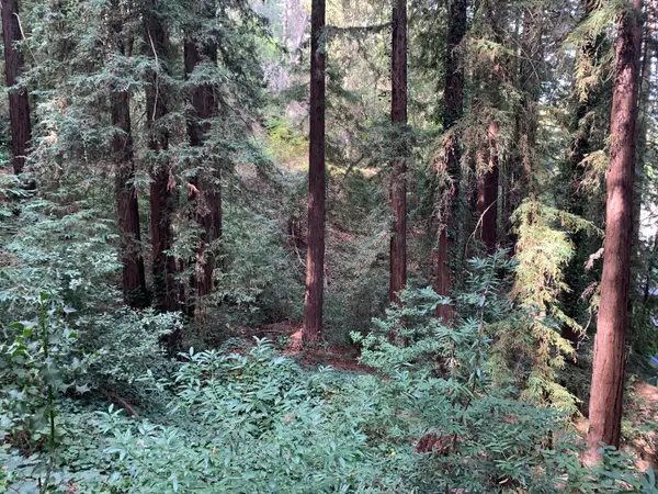 0 Helen Way, LOS GATOS, CA 95033