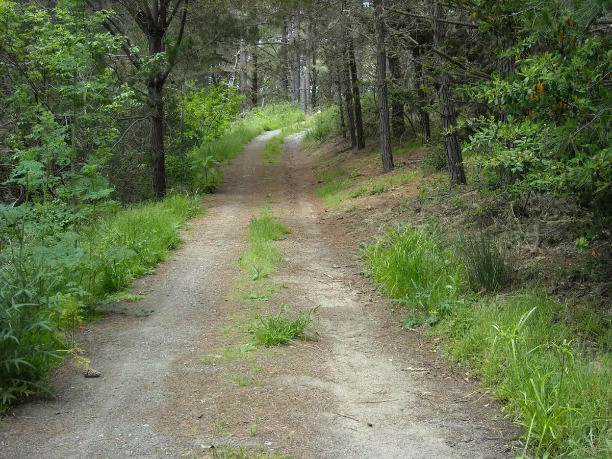 700 Cedar St., Montara, CA 94037 - #1