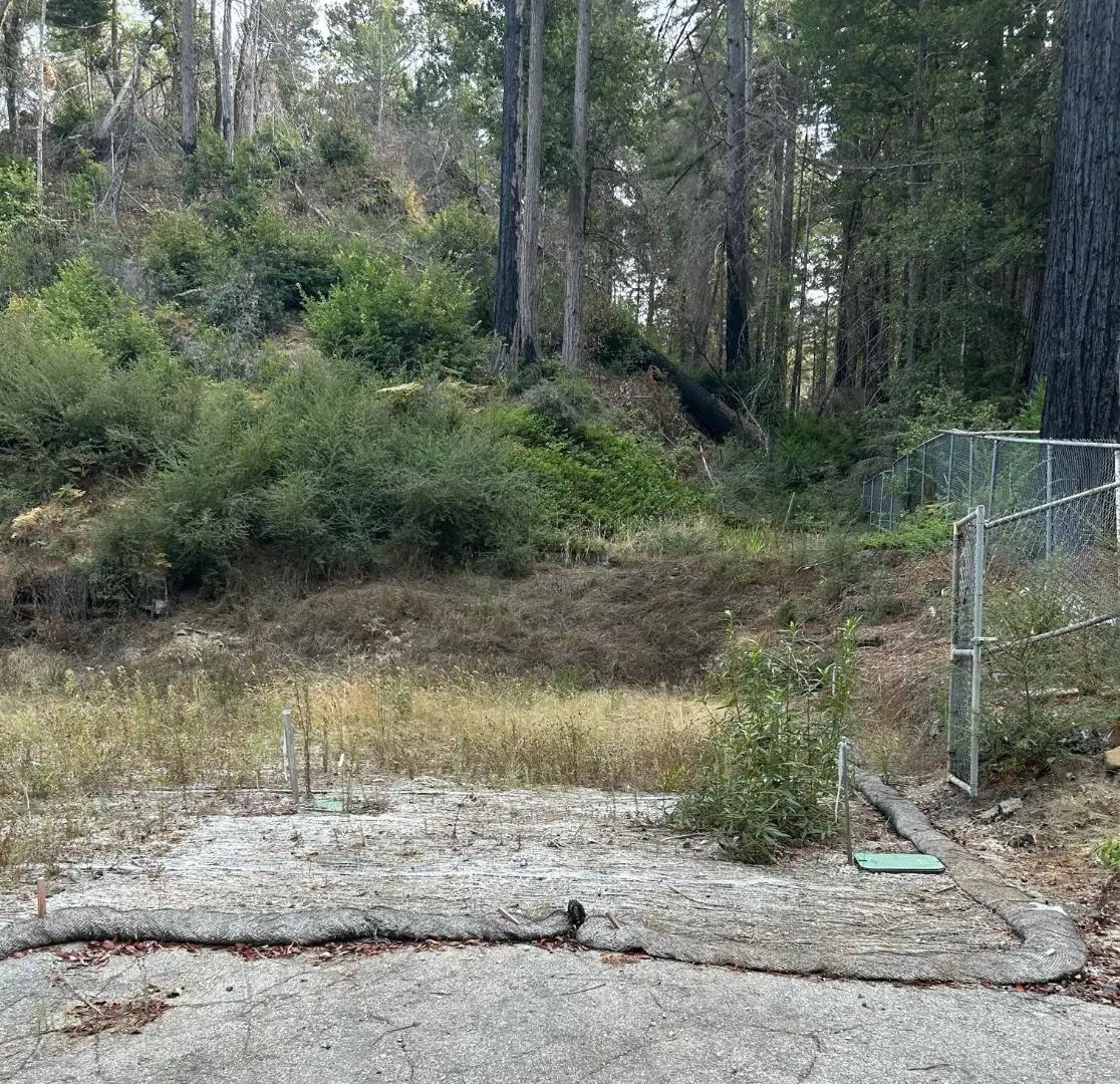 133 Lake Drive, Boulder Creek, CA 95006 - #1