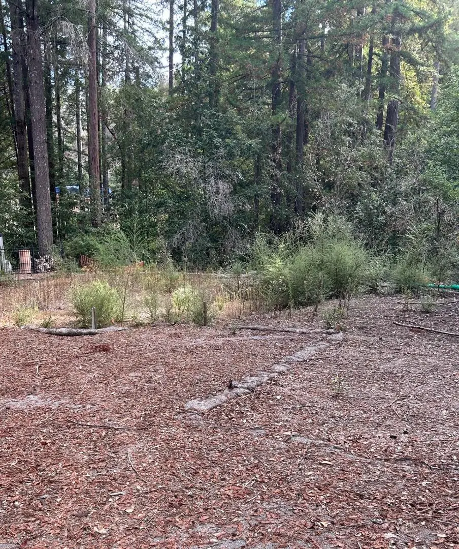 235 Double Bogey Drive, Boulder Creek, CA 95006 - #1