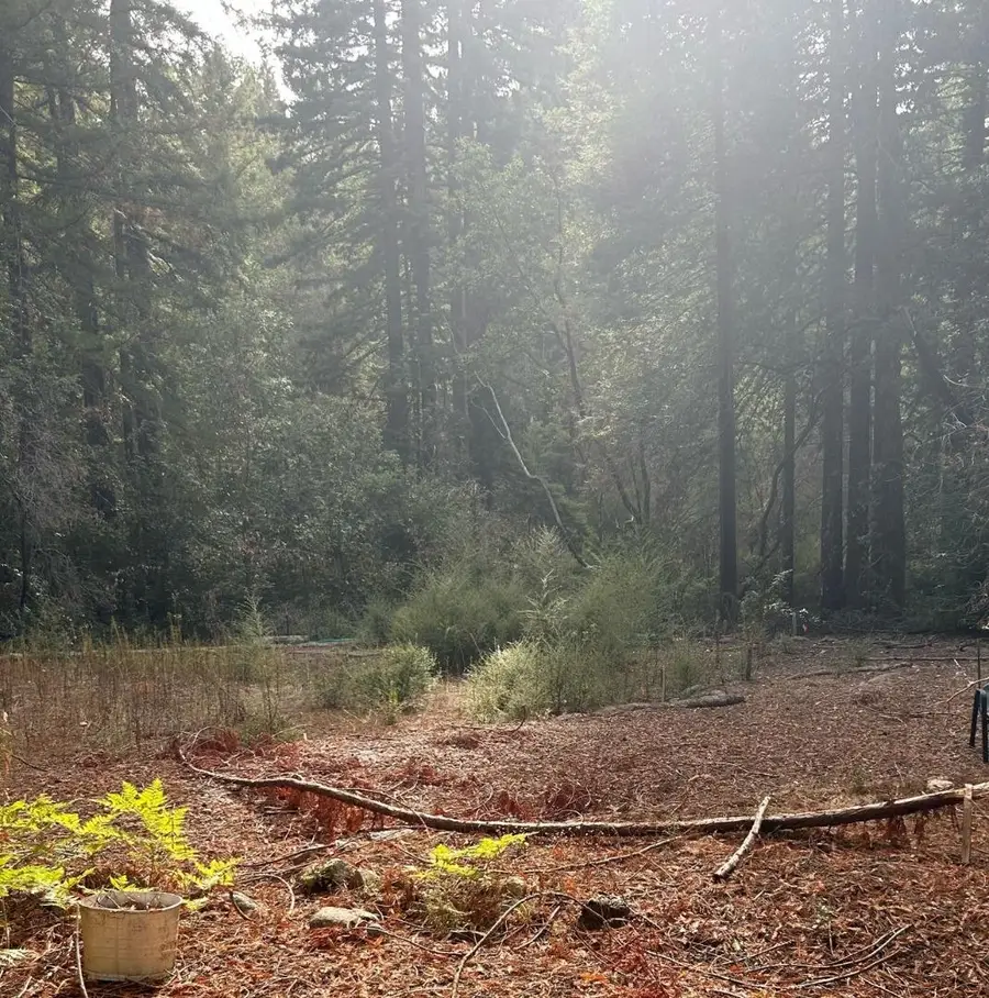 235 Double Bogey Drive, Boulder Creek, CA 95006 - #2