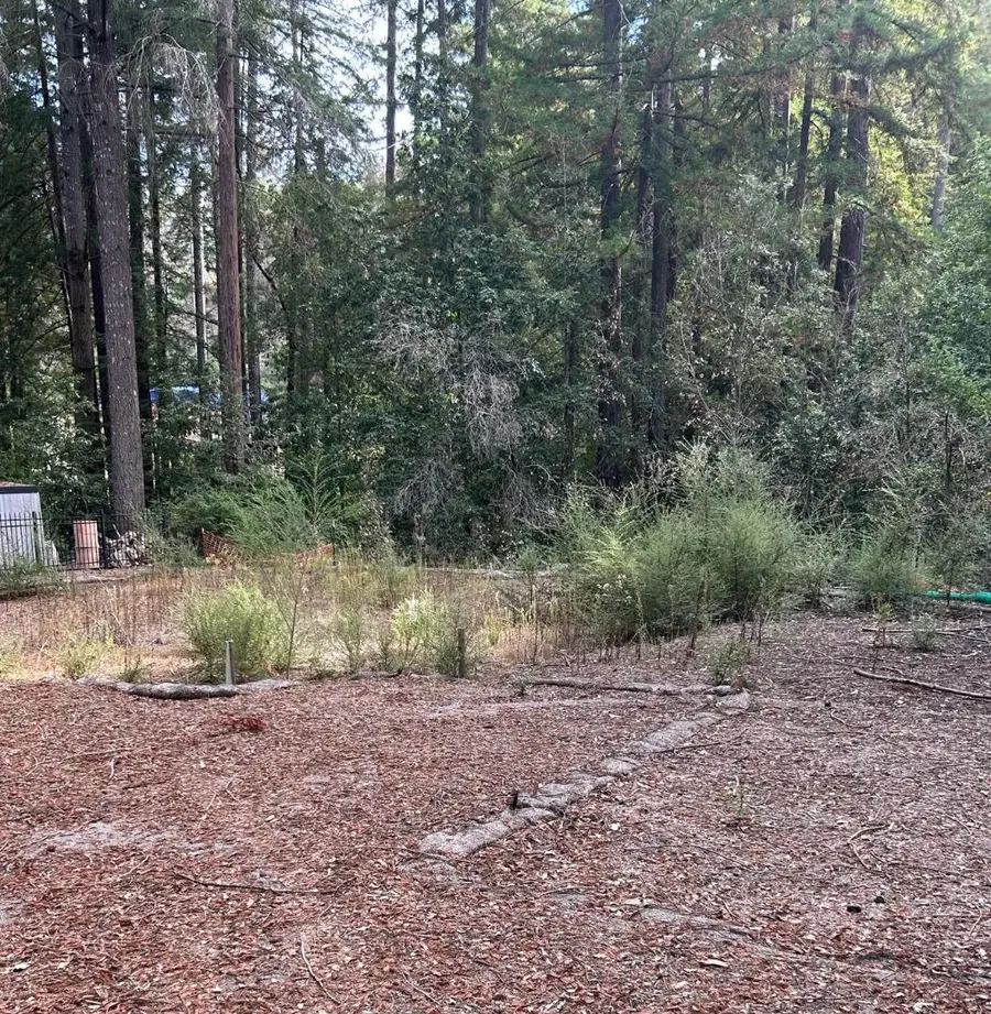 235 Double Bogey Drive, Boulder Creek, CA 95006 - #3