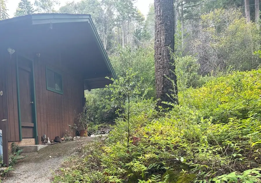 372 Lake Drive, Boulder Creek, CA 95006 - #3