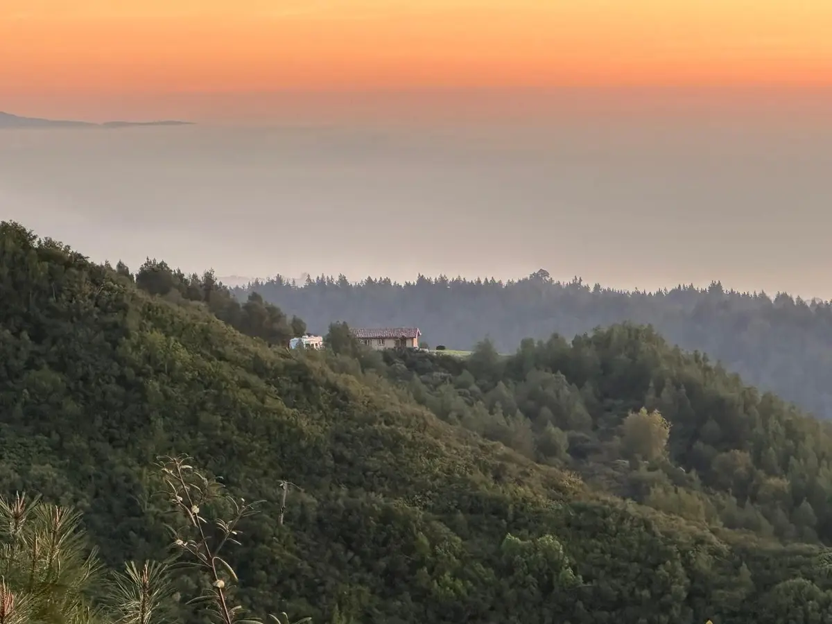 620 Maymens Flat Road, Los Gatos, CA 95033 - #1