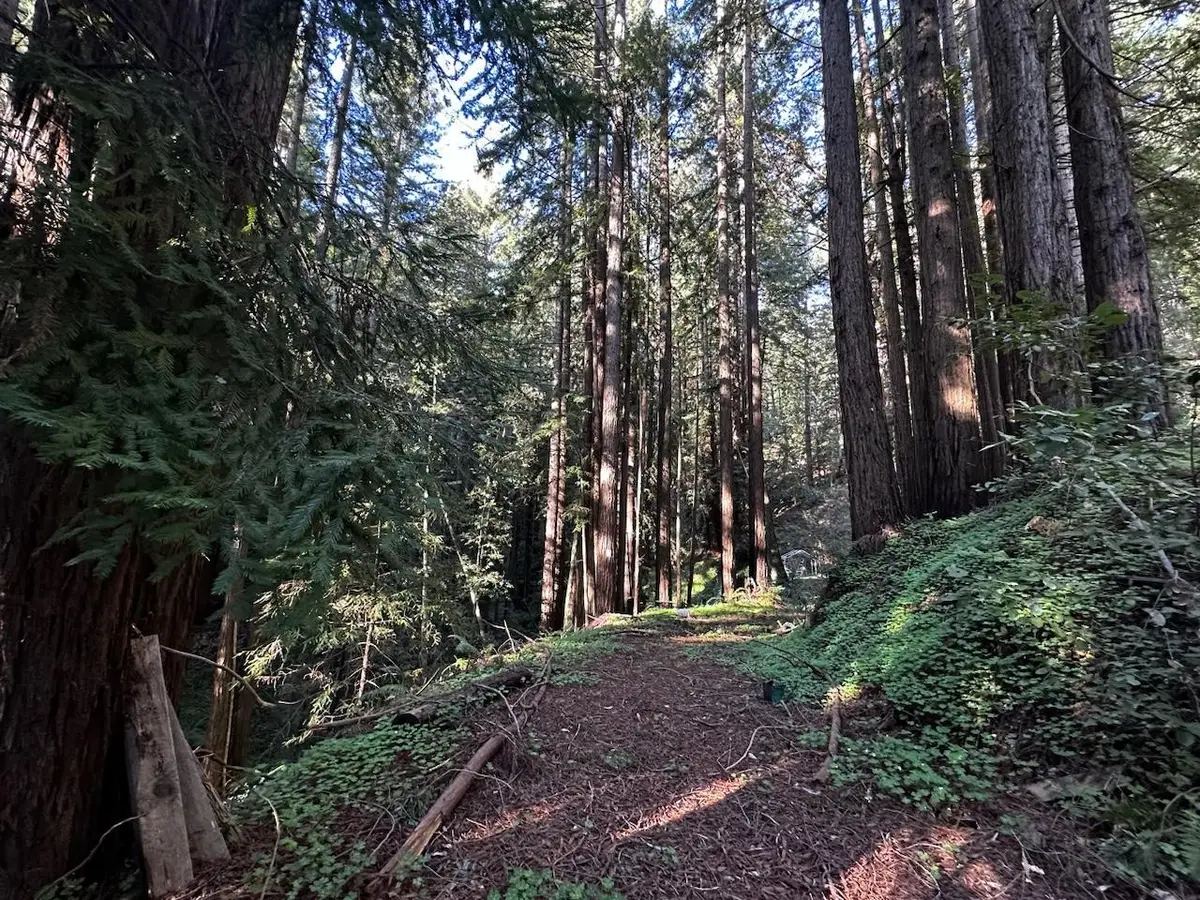 0 Warren, Santa Cruz, CA 95060 - #1