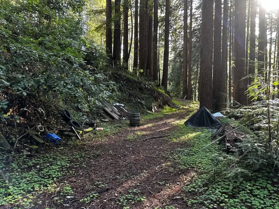 0 Warren, Santa Cruz, CA 95060 - #2