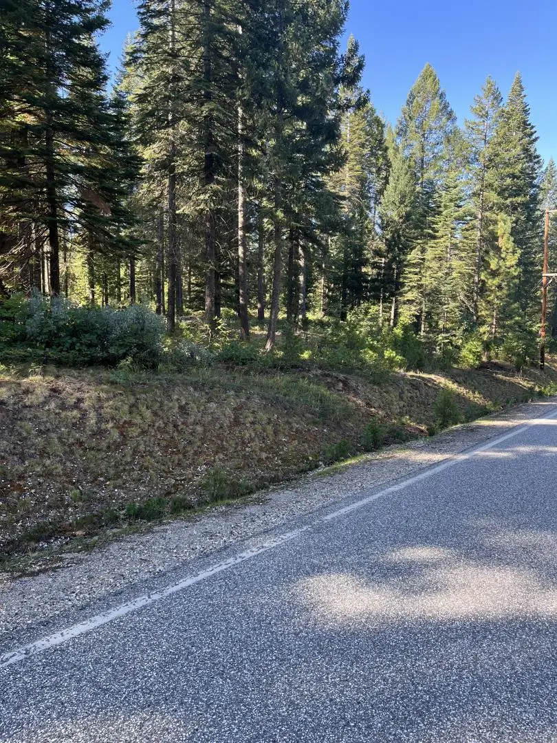 14695 Red Dog Road, Nevada City, CA 95959 - #2