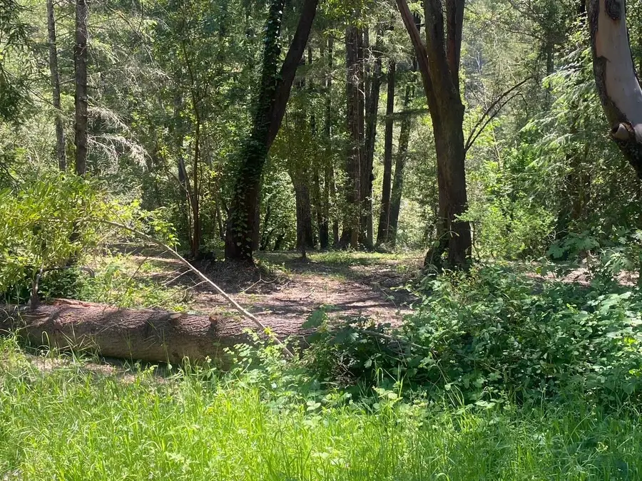 17000 Bear Creek Road, Boulder Creek, CA 95006 - #3