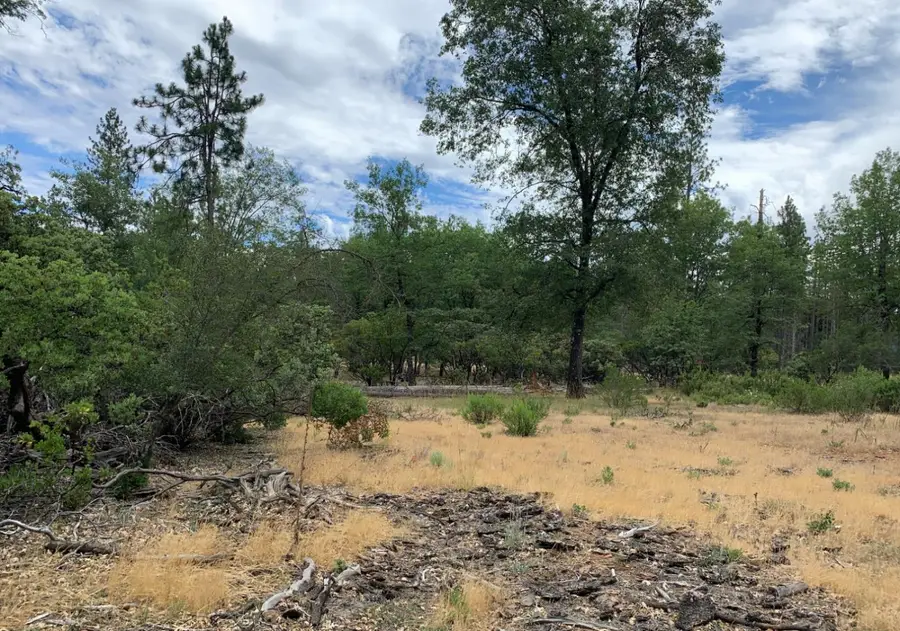 8655 Harrington Flat Road, Lake, CA 95461 - Image #3