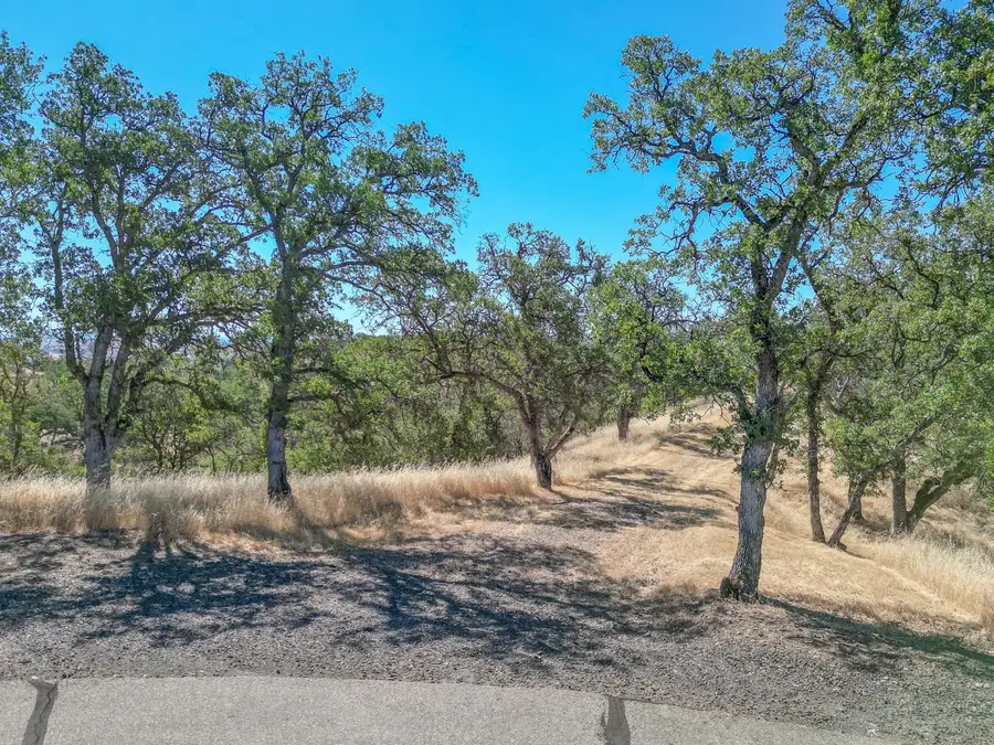 0 Wood Duck Pass Road, Red Bluff, CA 96080 - Image #3