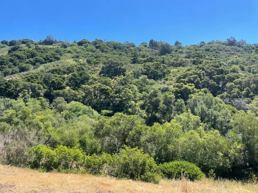 0 Tartan Trail Road, Hillsborough, CA 94010 - #2