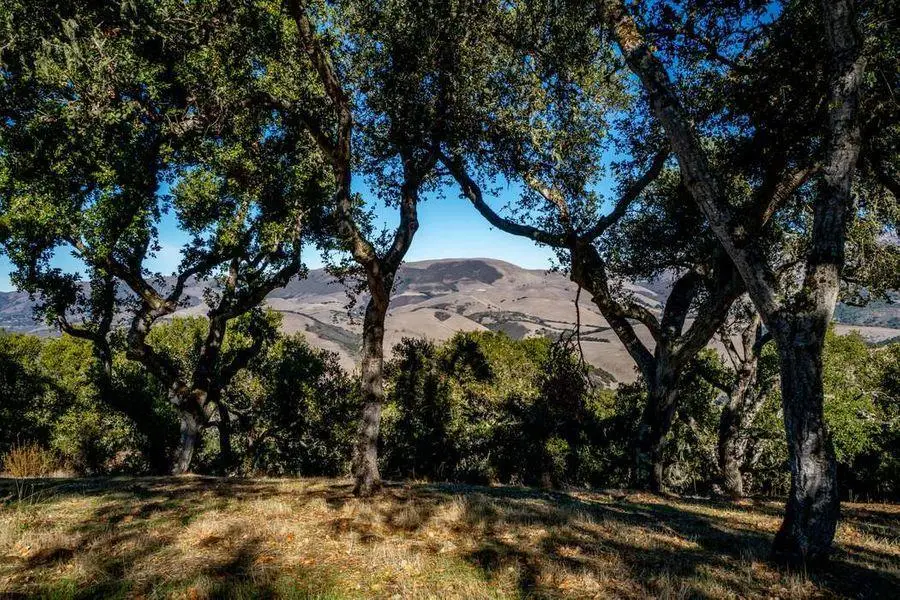 17114 Cachagua Road, Carmel Valley, CA 93924 - #2