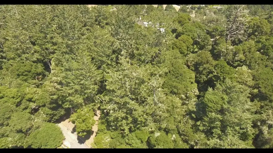 000 Burns, Aptos, CA 95003 - #3