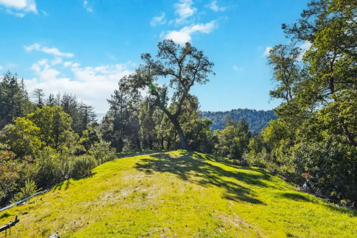 28 Hartman Creek, Boulder Creek, CA 95006 - #1
