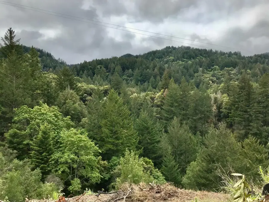 16503 Sanborn Road, Saratoga, CA 95070 - #3