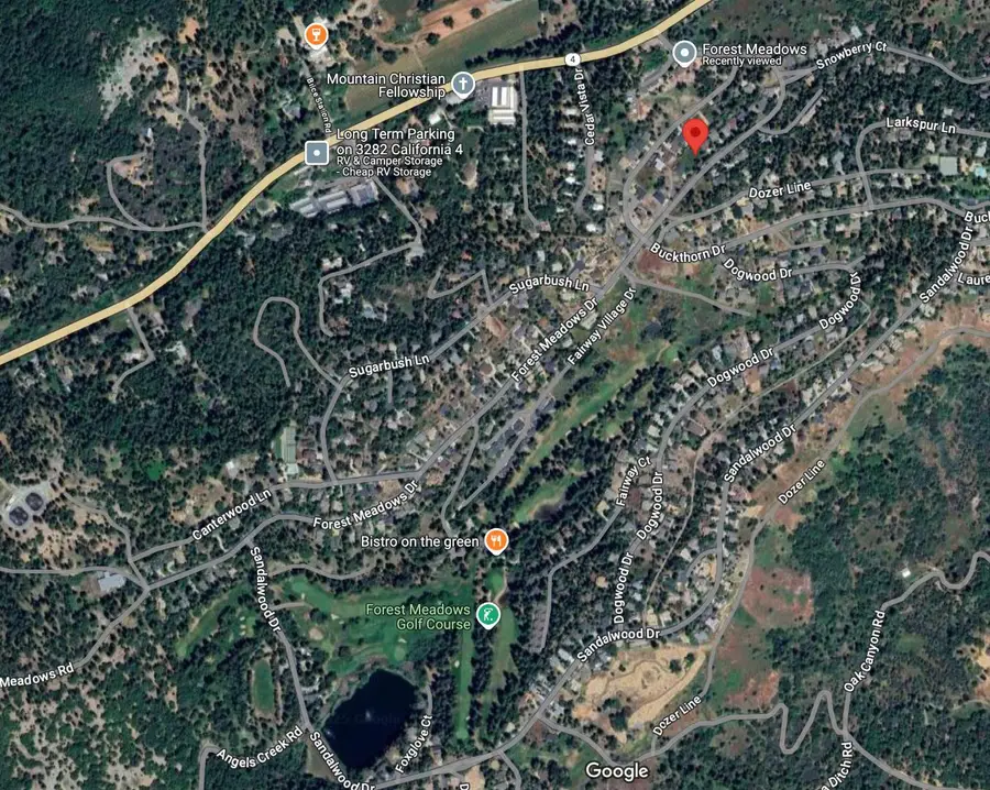 280 Forest Meadows Drive, Murphys, CA 95247 - Image #2