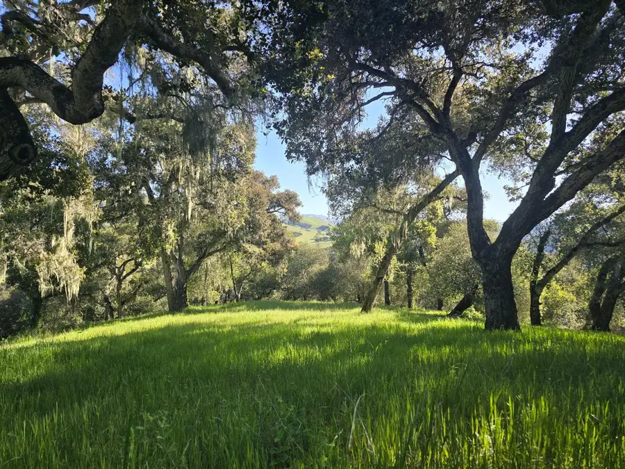 16 SLEEPY HOLLOW DRIVE, Carmel Valley, CA 93924 - #3