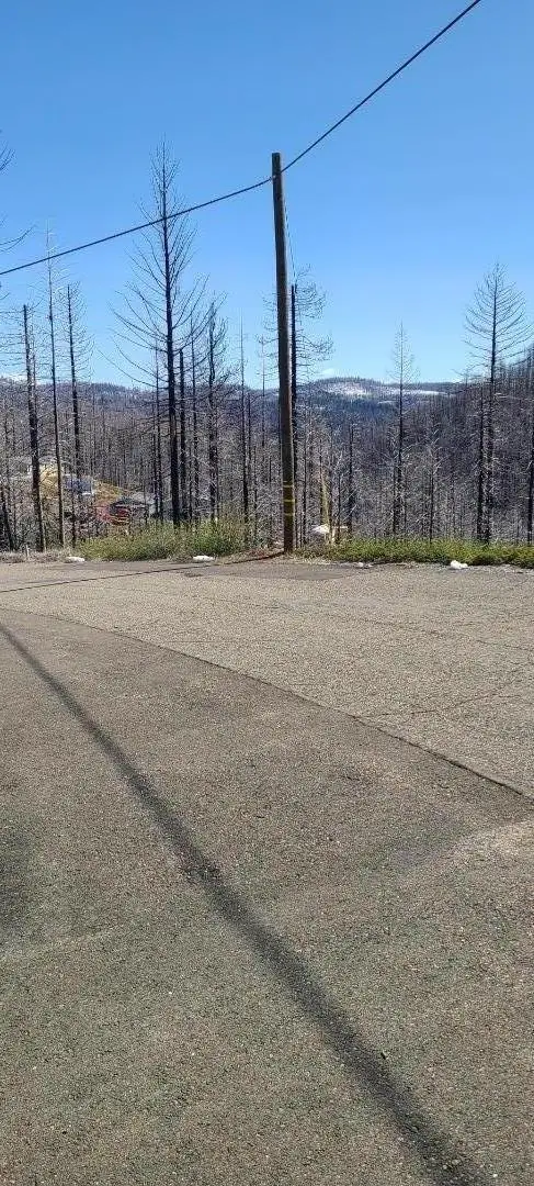 5406 Wooded Glen Drive, Grizzly Flats, CA 95636 - #1