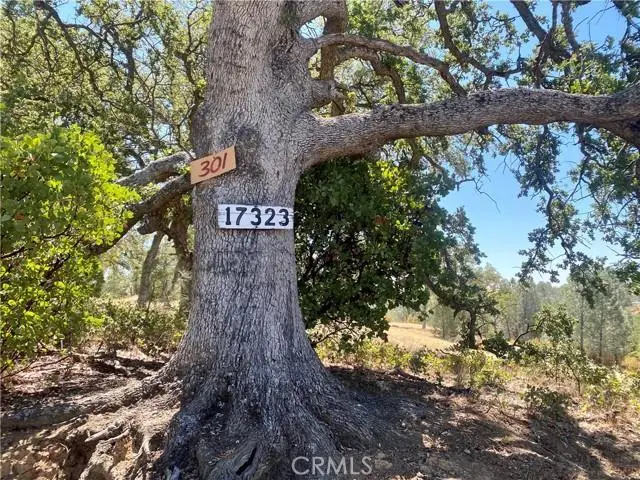 17323 Wagon Wheel Drive, Corning, CA 96021 - #1