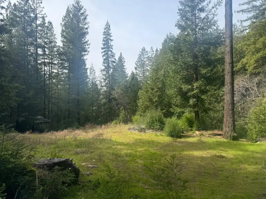 320 Timber Cove, Boulder Creek, CA 95006 - #2