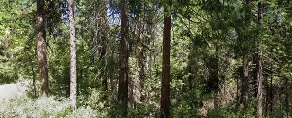 166 Higdon Road, WEST POINT, CA 95255