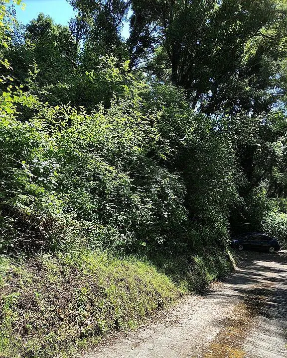 0 Farr Avenue, Aptos, CA 95003 - Image #1