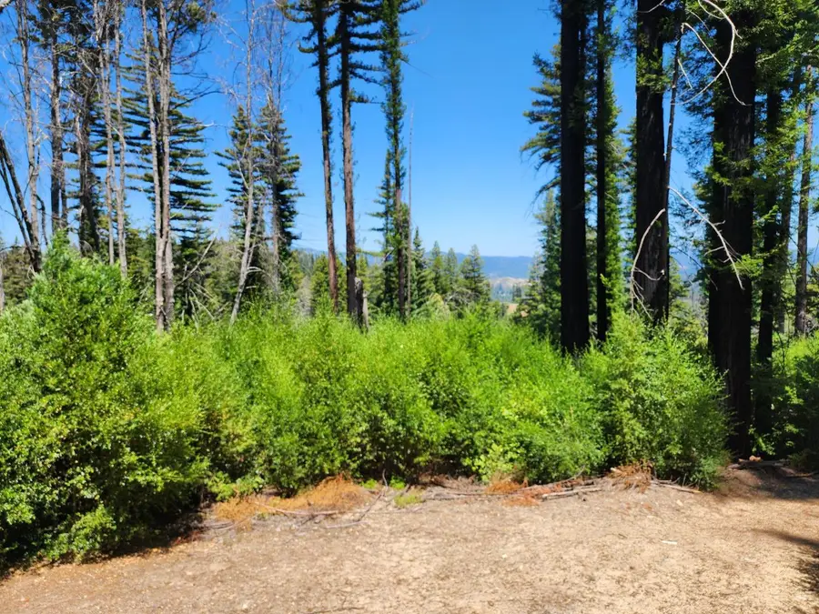 20604 Little Basin Road, Boulder Creek, CA 95006 - #3