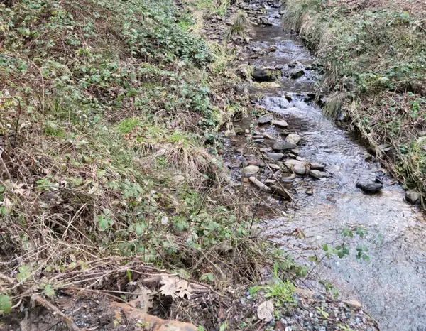 3179 Independence Road, MOKELUMNE HILL, CA 95245