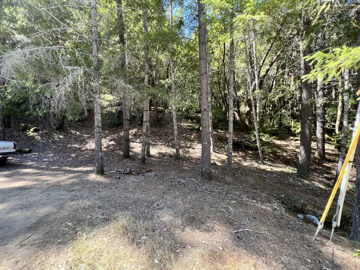 24858 Clover Road, Willits, CA 95490 - #1