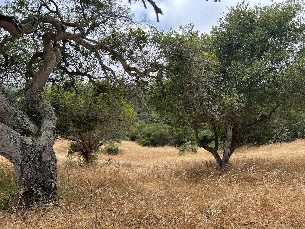 3230 Hillman Lane, Royal Oaks, CA 95076 - #1