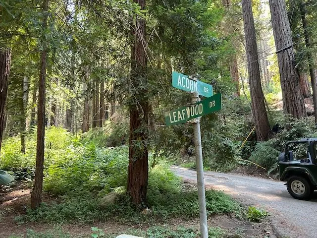 141 Leafwood Drive, Boulder Creek, CA 95006 - #3