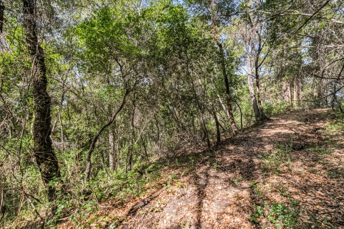 Lot 08 Madrone Avenue, Felton, CA 95018 - Image #1