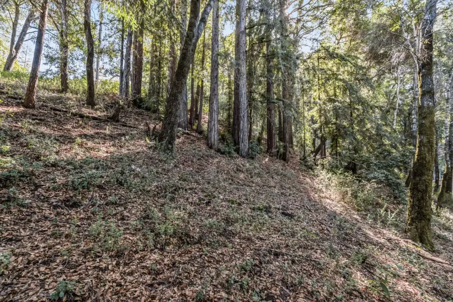 Lot 11 Volver Avenue, Felton, CA 95018 - Image #2