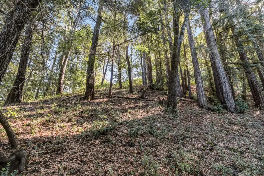 Lot 11 Volver Avenue, Felton, CA 95018 - Image #3