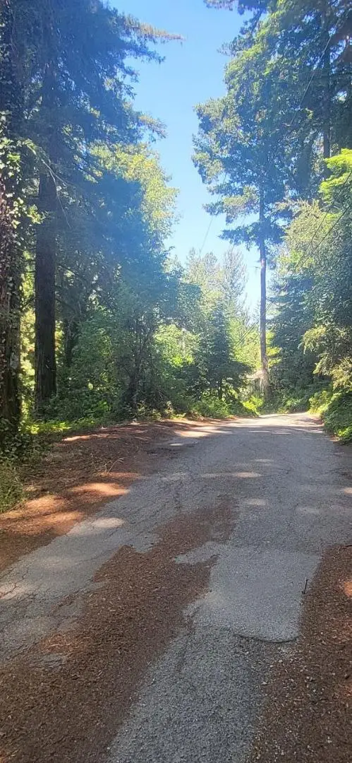 1080 Blue Ridge Drive, Boulder Creek, CA 95006 - #2