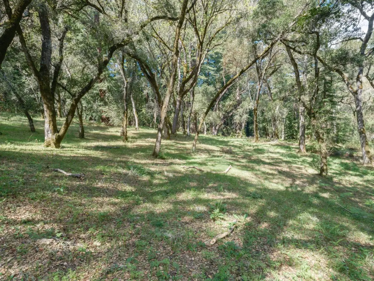 35000 Robinson Canyon Road, Carmel, CA 93923 - #1