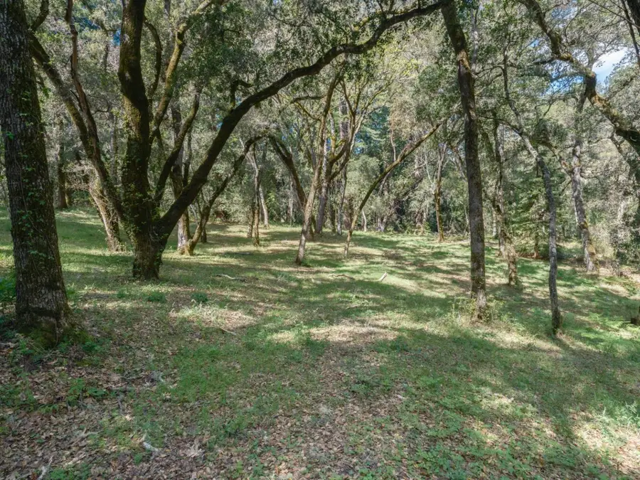 35000 Robinson Canyon Road, Carmel, CA 93923 - #2