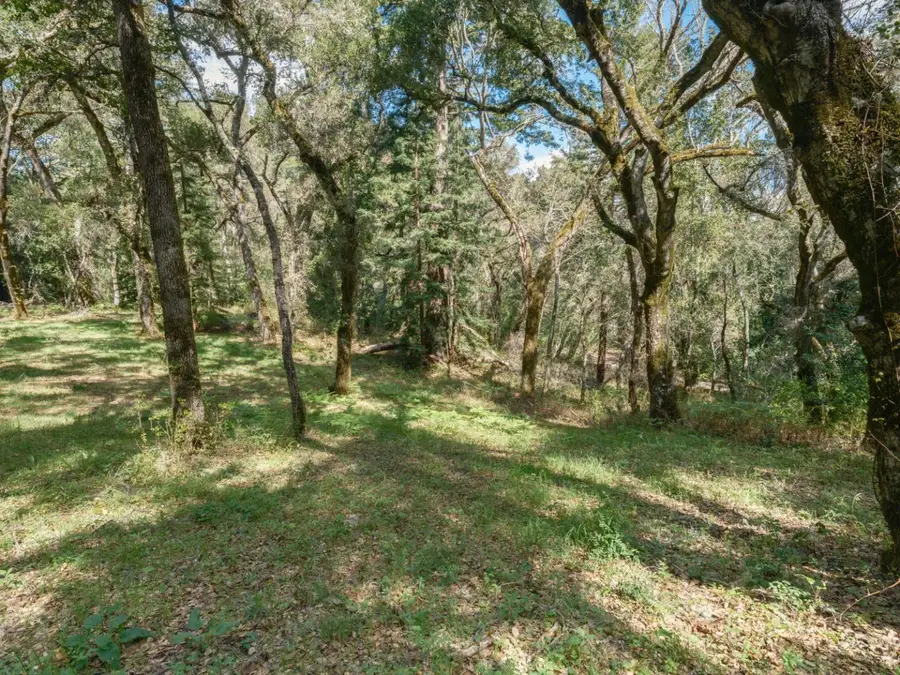 35000 Robinson Canyon Road, Carmel, CA 93923 - #3