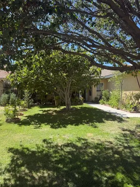 355 Chestnut Street, Los Banos, CA 93635 - Image #3