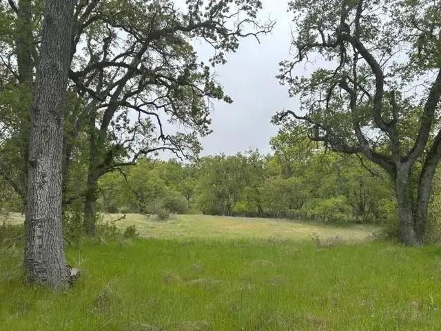 0 Lambert Flat Road, Carmel Valley, CA 93924 - #1