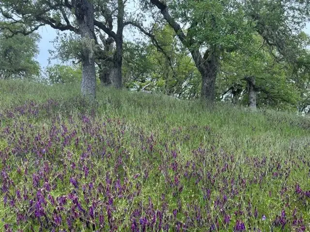 0 Lambert Flat Road, Carmel Valley, CA 93924 - #3