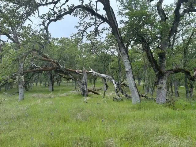 0 Lambert Flat Road, Carmel Valley, CA 93924 - Image #3