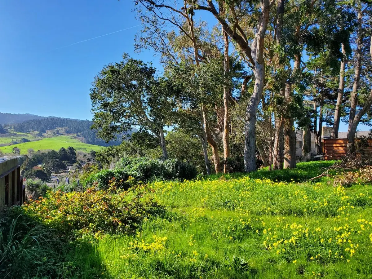 3528 Lazarro Drive, Carmel, CA 93923 - Image #1