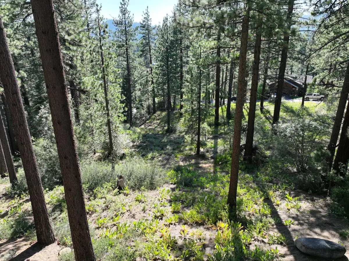 881 Onnontioga Street, South Lake Tahoe, CA 96150 - #1
