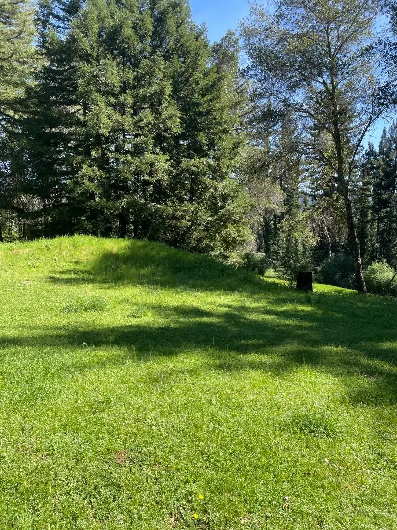 500 Wildberry Drive, Boulder Creek, CA 95006 - #3