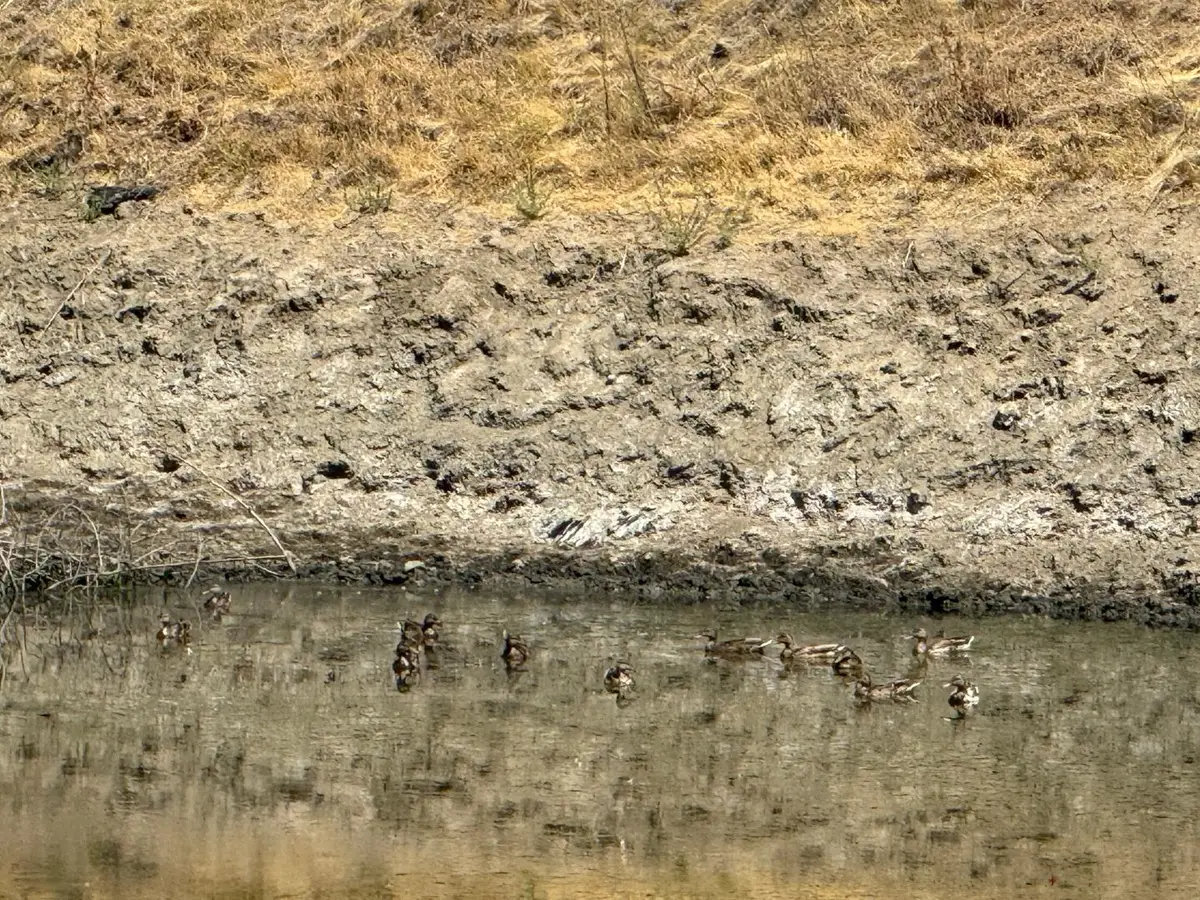 48015 Mines Road, San Jose, CA 95140 - #1