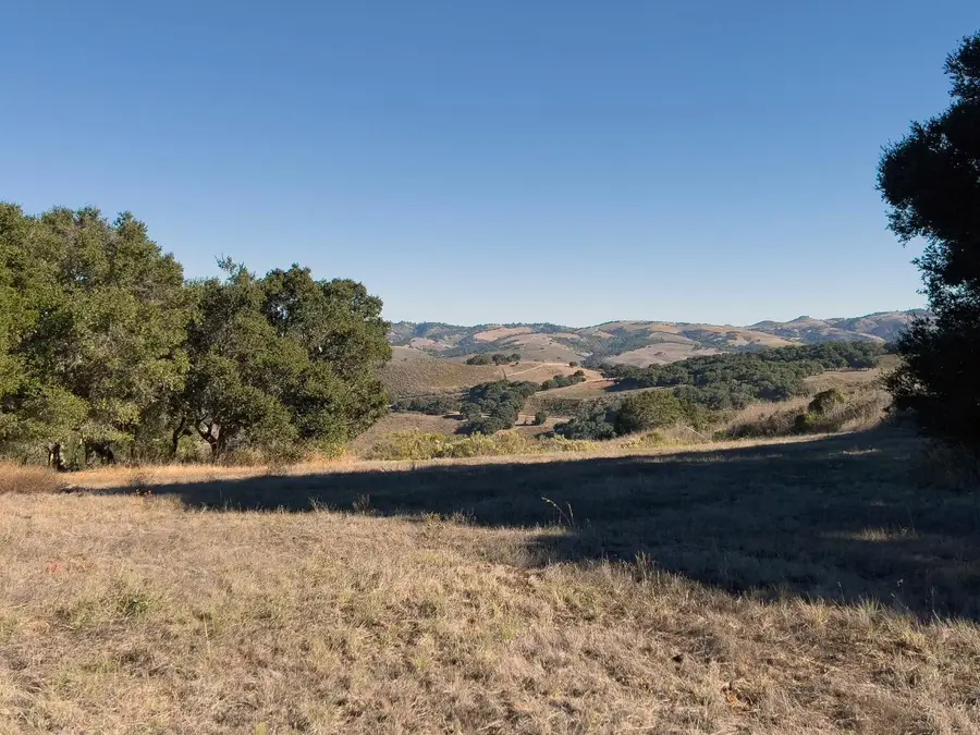 7 Holding Field Run, Carmel, CA 93923 - #2