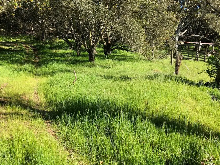 6967 Valle Pacifico Road, Salinas, CA 93907 - #2