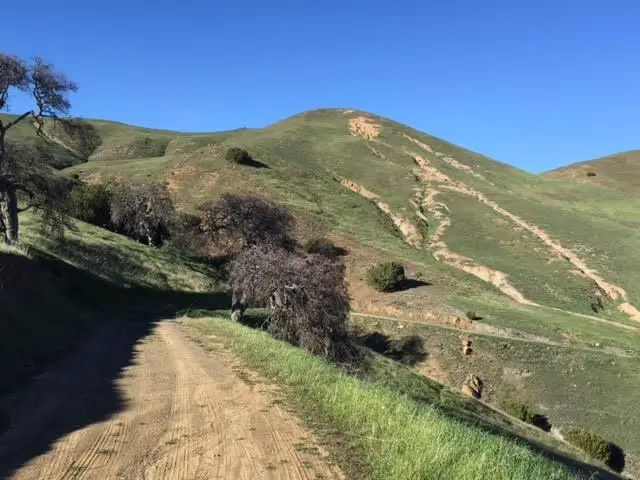 0 Willow Springs Ranch #8, Paicines, CA 95043 - #3