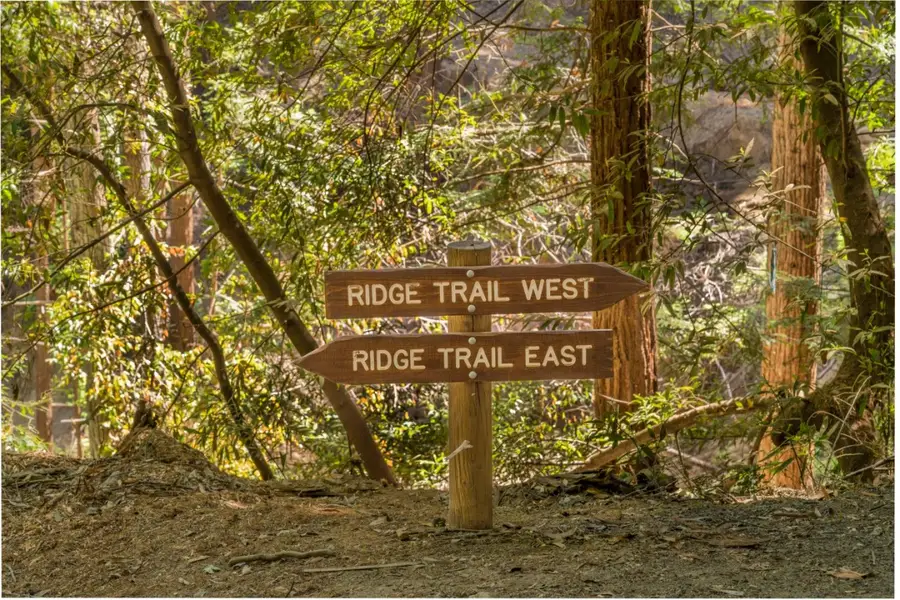 25373 Spanish Ranch Road, Los Gatos, CA 95033 - Image #3